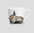 Felix räven - Mugg image 0